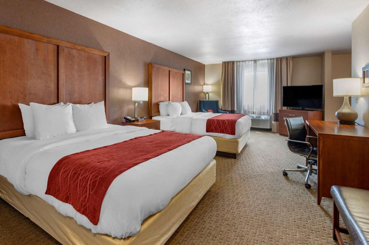 לורנסבורג Comfort Inn & Suites מראה חיצוני תמונה