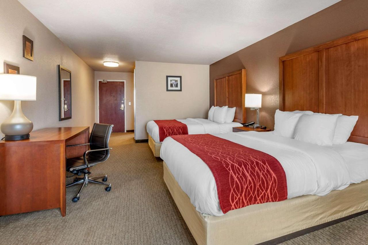 לורנסבורג Comfort Inn & Suites מראה חיצוני תמונה