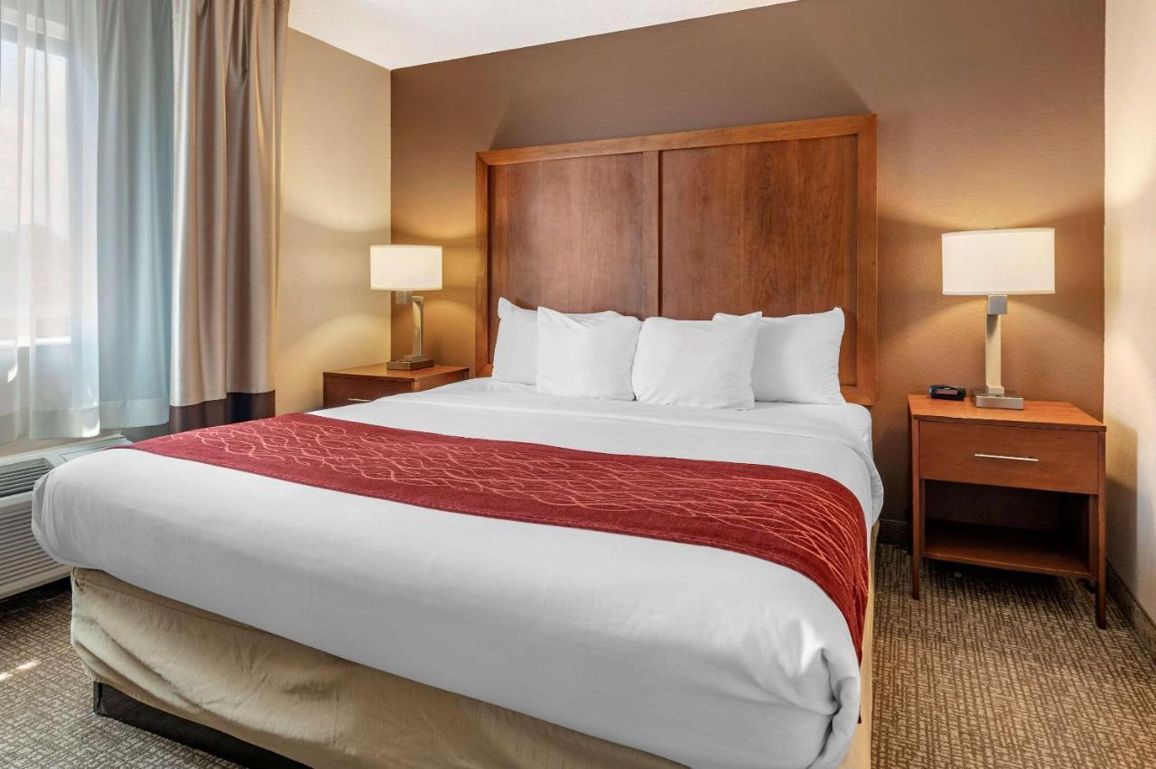 לורנסבורג Comfort Inn & Suites מראה חיצוני תמונה
