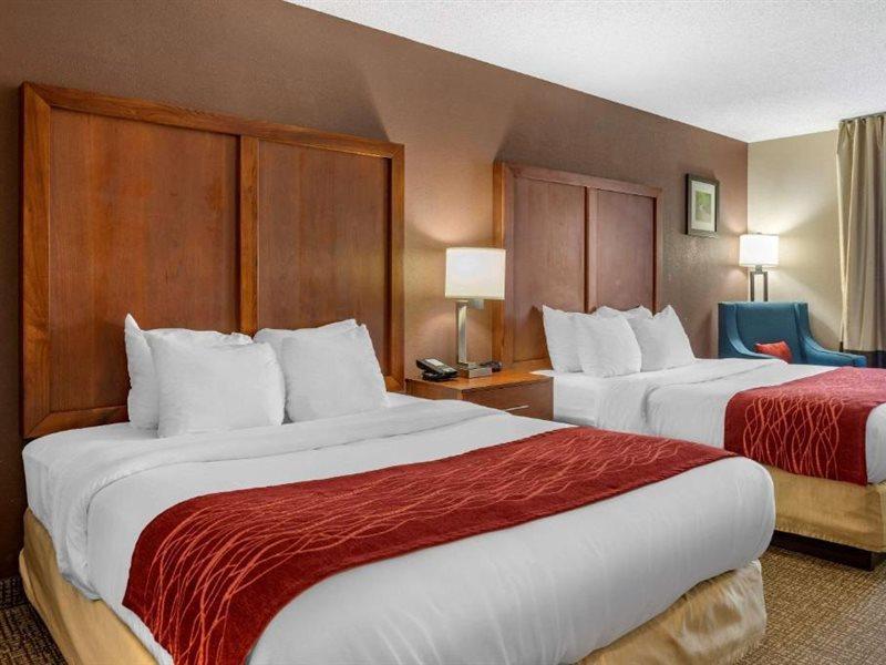 לורנסבורג Comfort Inn & Suites מראה חיצוני תמונה
