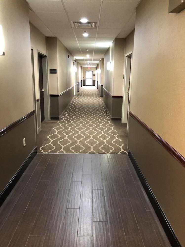 לורנסבורג Comfort Inn & Suites מראה חיצוני תמונה